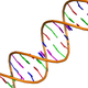 Illustration for article titled Scientists Debut Precise New Gene-Editing Technique That Overcomes Some of CRISPRs Problems